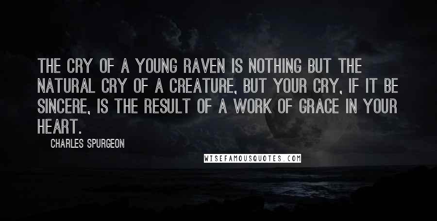 Charles Spurgeon Quotes: The cry of a young raven is nothing but the natural cry of a creature, but your cry, if it be sincere, is the result of a work of grace in your heart.