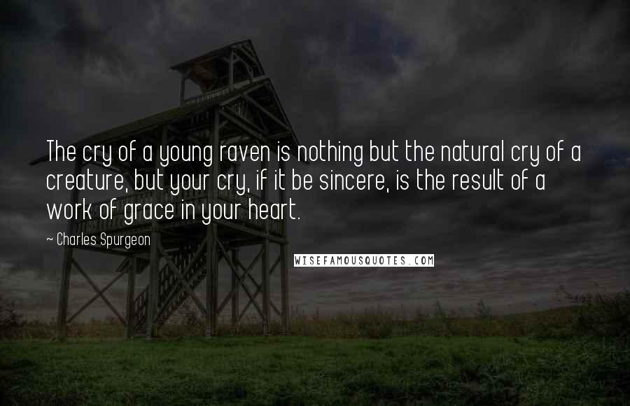 Charles Spurgeon Quotes: The cry of a young raven is nothing but the natural cry of a creature, but your cry, if it be sincere, is the result of a work of grace in your heart.