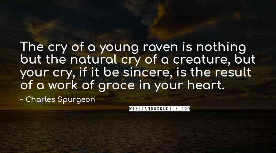 Charles Spurgeon Quotes: The cry of a young raven is nothing but the natural cry of a creature, but your cry, if it be sincere, is the result of a work of grace in your heart.