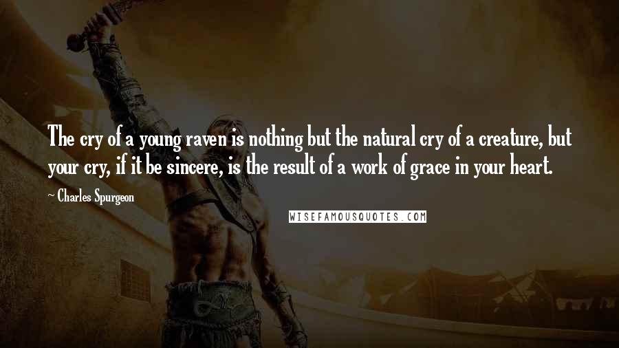 Charles Spurgeon Quotes: The cry of a young raven is nothing but the natural cry of a creature, but your cry, if it be sincere, is the result of a work of grace in your heart.