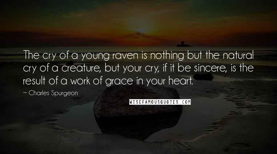 Charles Spurgeon Quotes: The cry of a young raven is nothing but the natural cry of a creature, but your cry, if it be sincere, is the result of a work of grace in your heart.