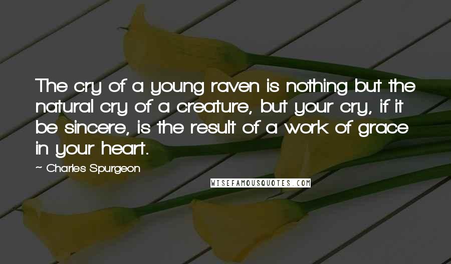 Charles Spurgeon Quotes: The cry of a young raven is nothing but the natural cry of a creature, but your cry, if it be sincere, is the result of a work of grace in your heart.