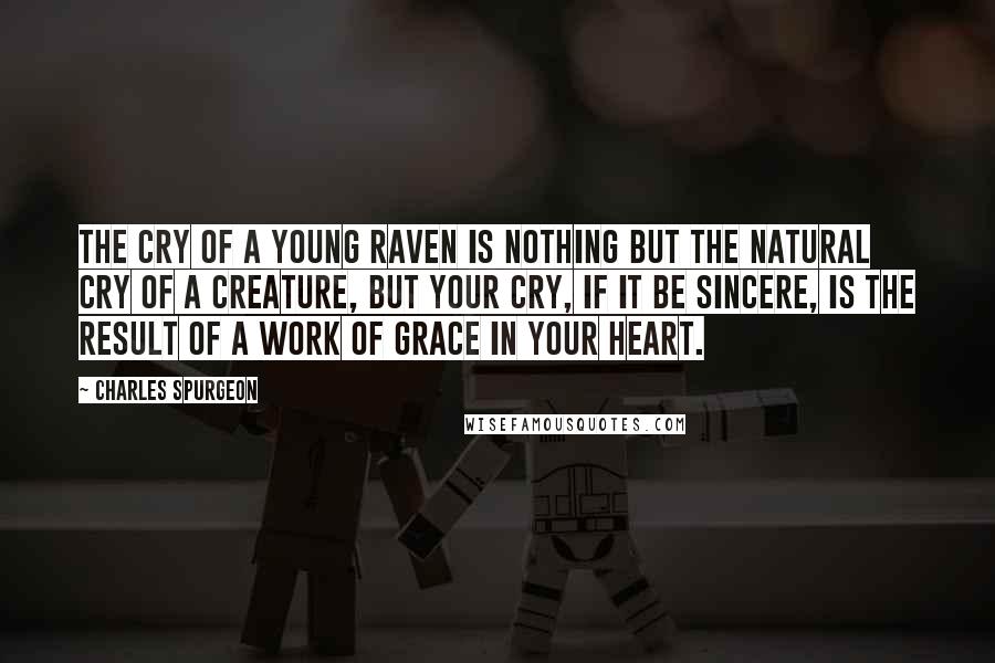 Charles Spurgeon Quotes: The cry of a young raven is nothing but the natural cry of a creature, but your cry, if it be sincere, is the result of a work of grace in your heart.