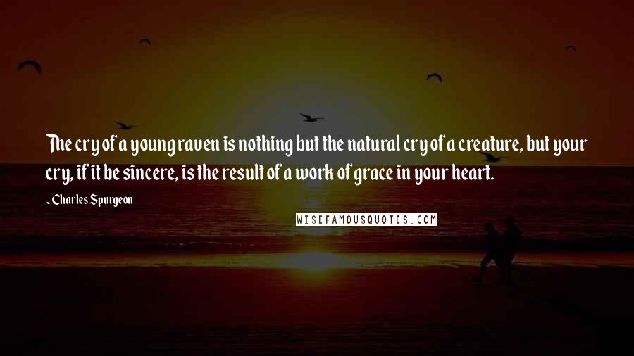 Charles Spurgeon Quotes: The cry of a young raven is nothing but the natural cry of a creature, but your cry, if it be sincere, is the result of a work of grace in your heart.