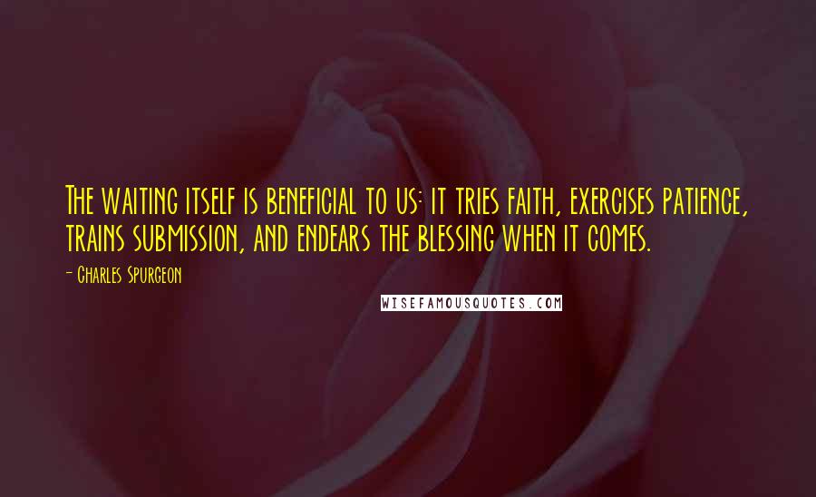 Charles Spurgeon Quotes: The waiting itself is beneficial to us: it tries faith, exercises patience, trains submission, and endears the blessing when it comes.