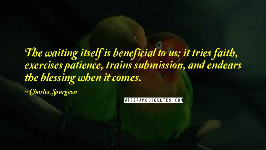 Charles Spurgeon Quotes: The waiting itself is beneficial to us: it tries faith, exercises patience, trains submission, and endears the blessing when it comes.