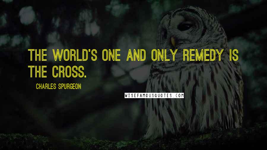 Charles Spurgeon Quotes: The world's one and only remedy is the cross.