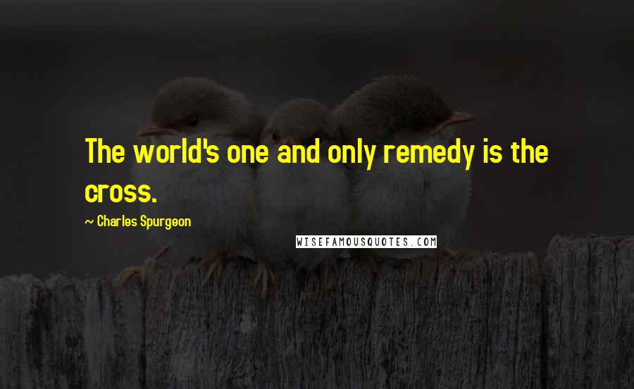 Charles Spurgeon Quotes: The world's one and only remedy is the cross.