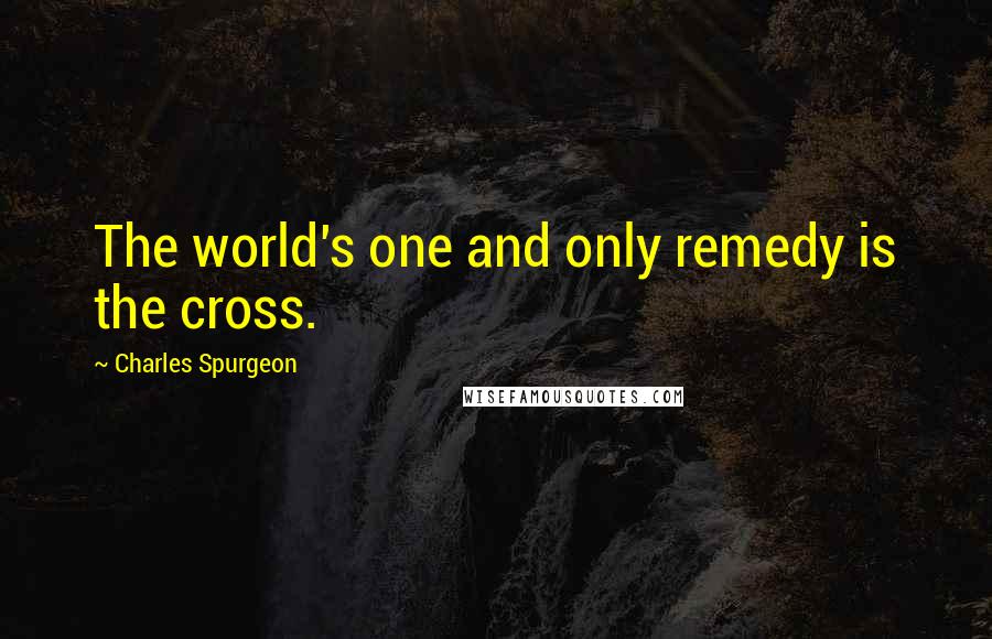 Charles Spurgeon Quotes: The world's one and only remedy is the cross.