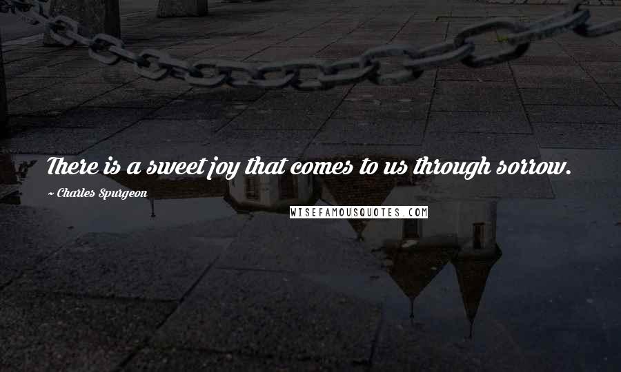 Charles Spurgeon Quotes: There is a sweet joy that comes to us through sorrow.