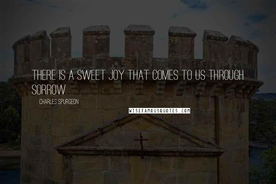 Charles Spurgeon Quotes: There is a sweet joy that comes to us through sorrow.