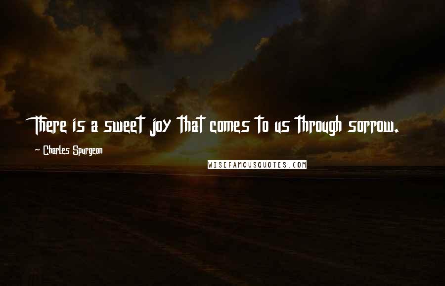 Charles Spurgeon Quotes: There is a sweet joy that comes to us through sorrow.