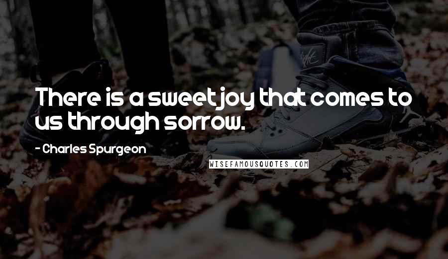 Charles Spurgeon Quotes: There is a sweet joy that comes to us through sorrow.