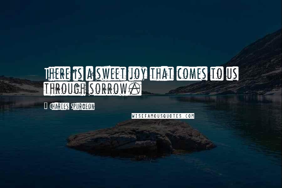 Charles Spurgeon Quotes: There is a sweet joy that comes to us through sorrow.