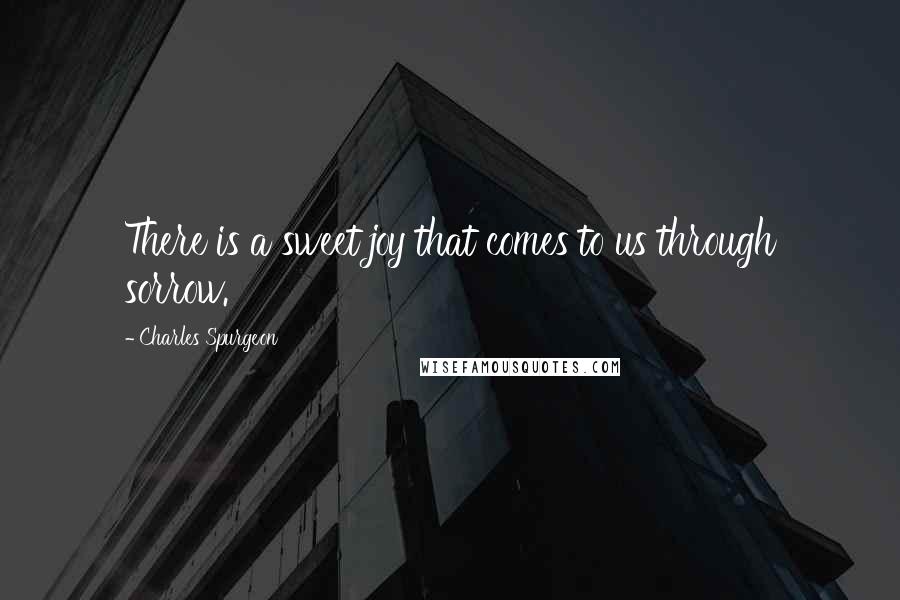 Charles Spurgeon Quotes: There is a sweet joy that comes to us through sorrow.