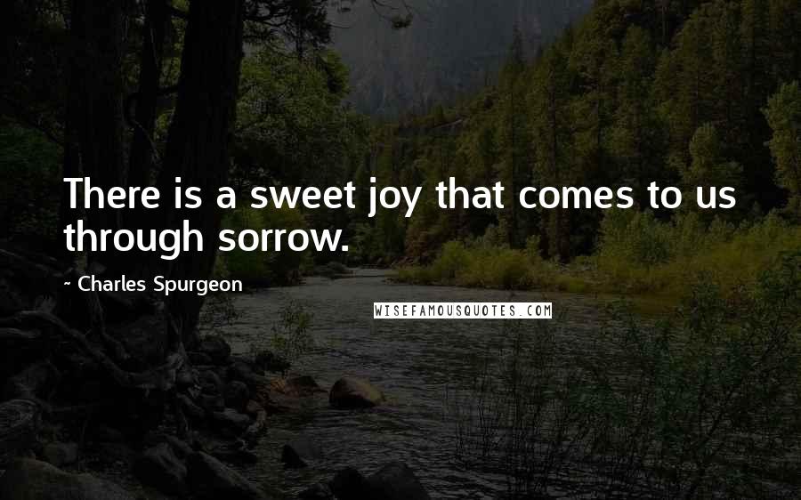 Charles Spurgeon Quotes: There is a sweet joy that comes to us through sorrow.
