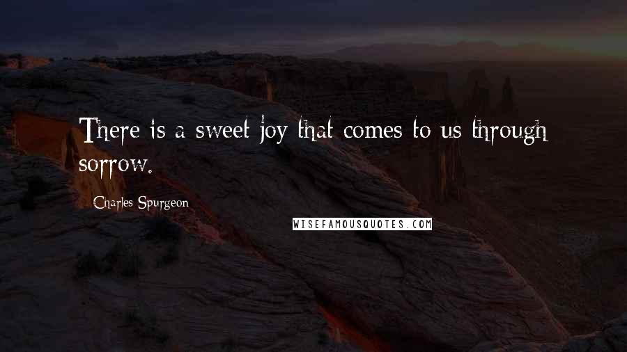 Charles Spurgeon Quotes: There is a sweet joy that comes to us through sorrow.