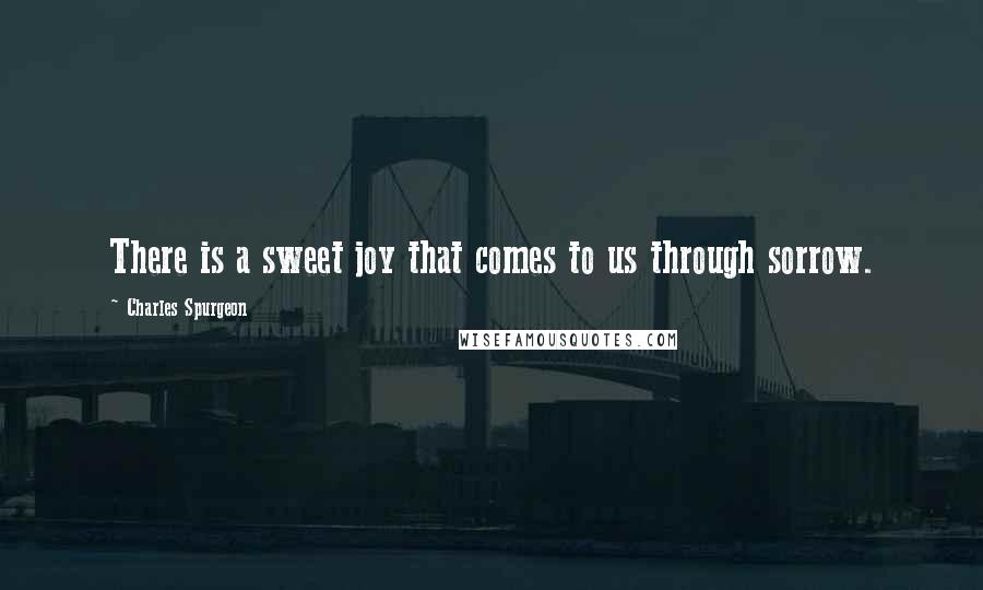 Charles Spurgeon Quotes: There is a sweet joy that comes to us through sorrow.