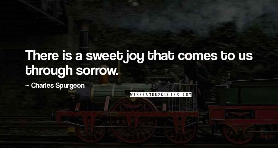 Charles Spurgeon Quotes: There is a sweet joy that comes to us through sorrow.