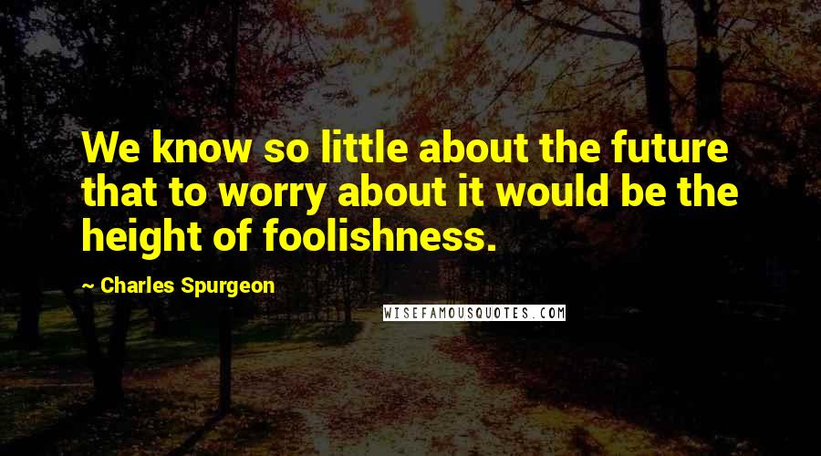 Charles Spurgeon Quotes: We know so little about the future that to worry about it would be the height of foolishness.