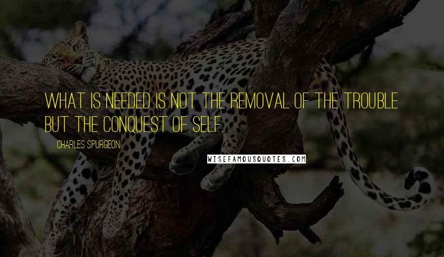 Charles Spurgeon Quotes: What is needed is not the removal of the trouble but the conquest of self.