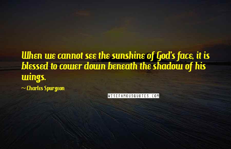 Charles Spurgeon Quotes: When we cannot see the sunshine of God's face, it is blessed to cower down beneath the shadow of his wings.