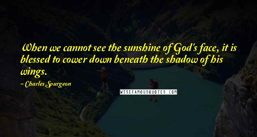 Charles Spurgeon Quotes: When we cannot see the sunshine of God's face, it is blessed to cower down beneath the shadow of his wings.
