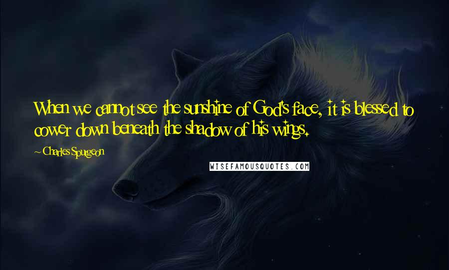Charles Spurgeon Quotes: When we cannot see the sunshine of God's face, it is blessed to cower down beneath the shadow of his wings.