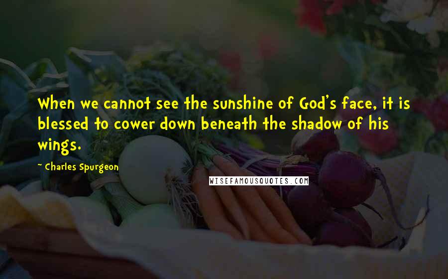 Charles Spurgeon Quotes: When we cannot see the sunshine of God's face, it is blessed to cower down beneath the shadow of his wings.