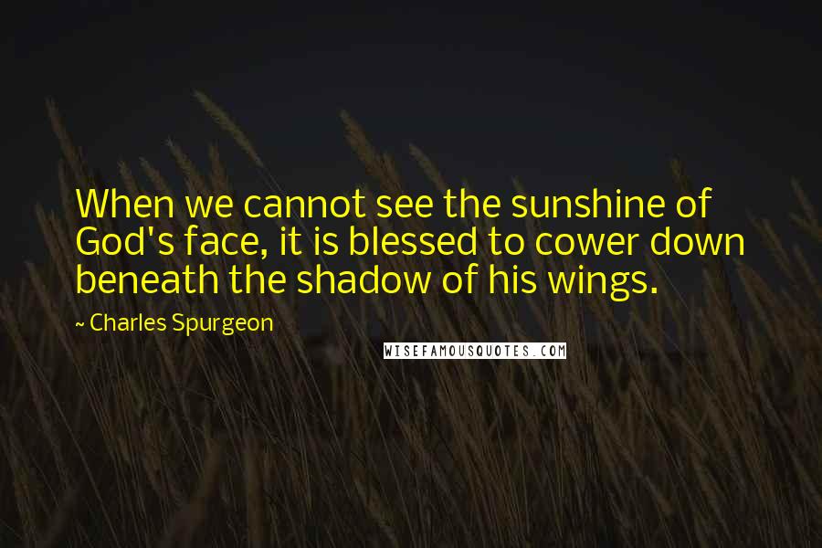 Charles Spurgeon Quotes: When we cannot see the sunshine of God's face, it is blessed to cower down beneath the shadow of his wings.