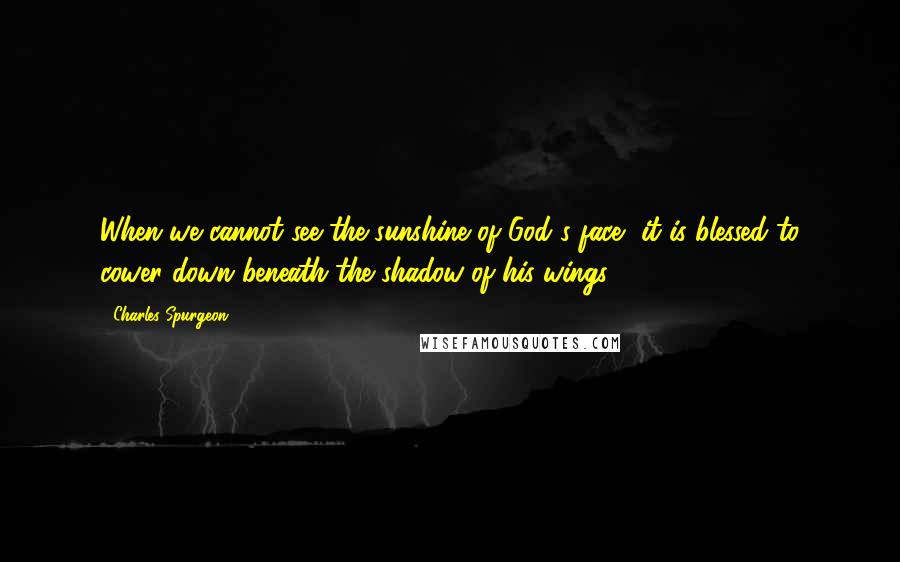 Charles Spurgeon Quotes: When we cannot see the sunshine of God's face, it is blessed to cower down beneath the shadow of his wings.