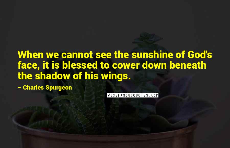 Charles Spurgeon Quotes: When we cannot see the sunshine of God's face, it is blessed to cower down beneath the shadow of his wings.