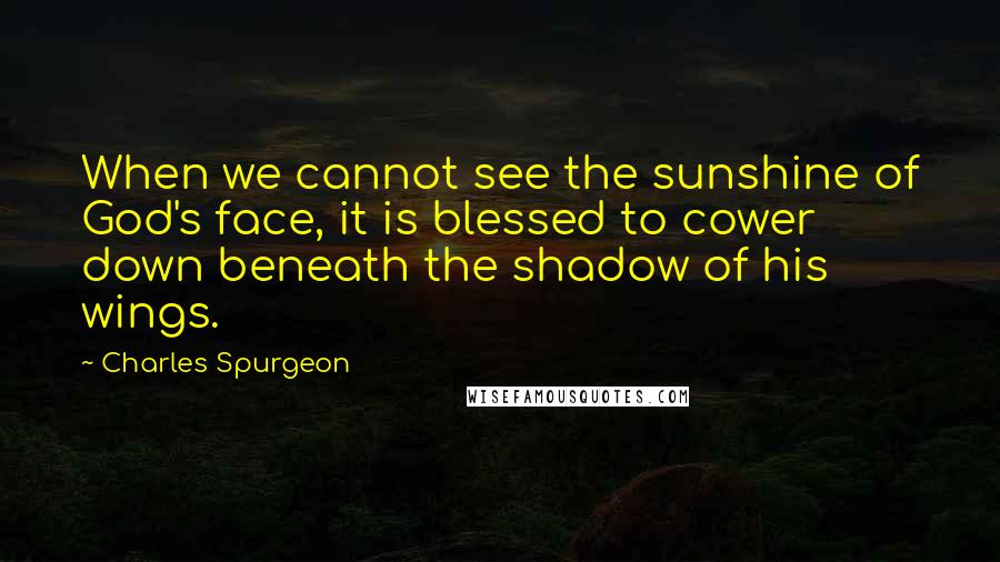 Charles Spurgeon Quotes: When we cannot see the sunshine of God's face, it is blessed to cower down beneath the shadow of his wings.