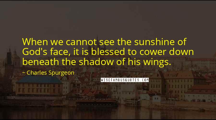 Charles Spurgeon Quotes: When we cannot see the sunshine of God's face, it is blessed to cower down beneath the shadow of his wings.