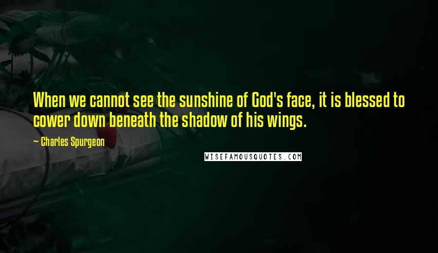 Charles Spurgeon Quotes: When we cannot see the sunshine of God's face, it is blessed to cower down beneath the shadow of his wings.