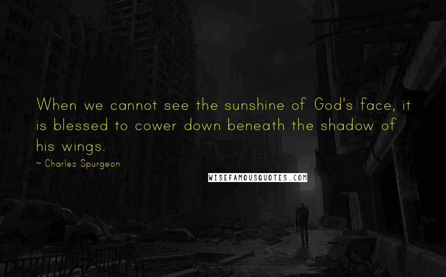 Charles Spurgeon Quotes: When we cannot see the sunshine of God's face, it is blessed to cower down beneath the shadow of his wings.