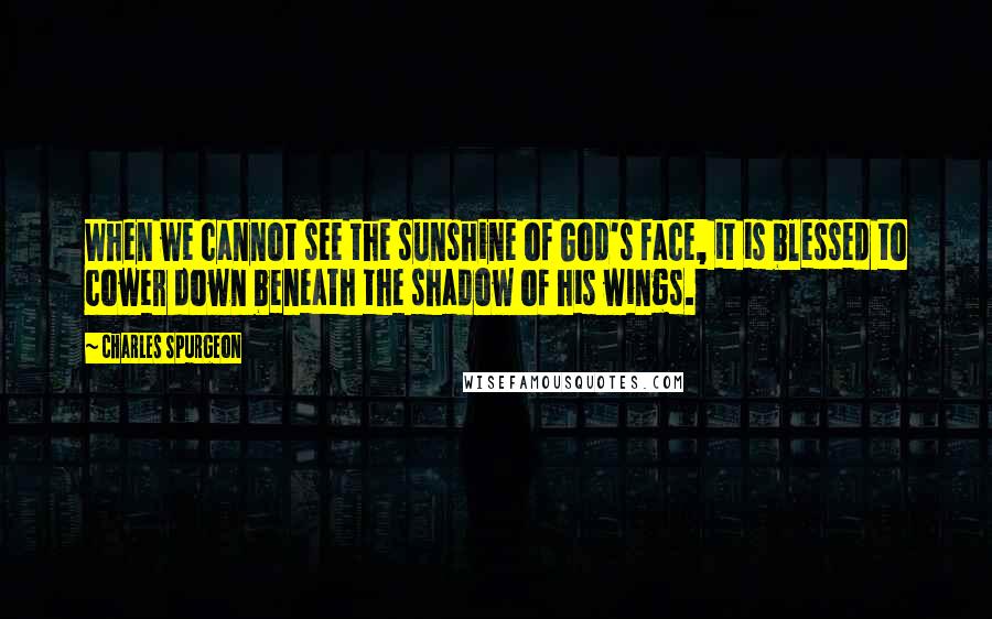 Charles Spurgeon Quotes: When we cannot see the sunshine of God's face, it is blessed to cower down beneath the shadow of his wings.