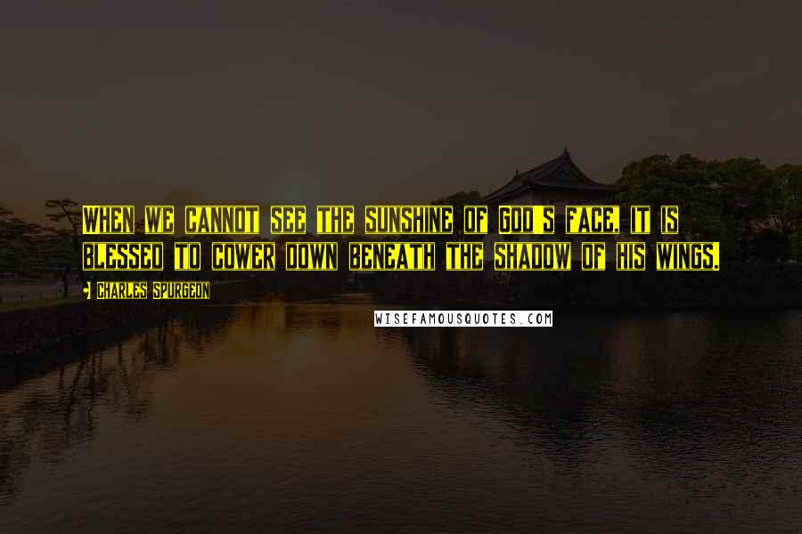 Charles Spurgeon Quotes: When we cannot see the sunshine of God's face, it is blessed to cower down beneath the shadow of his wings.