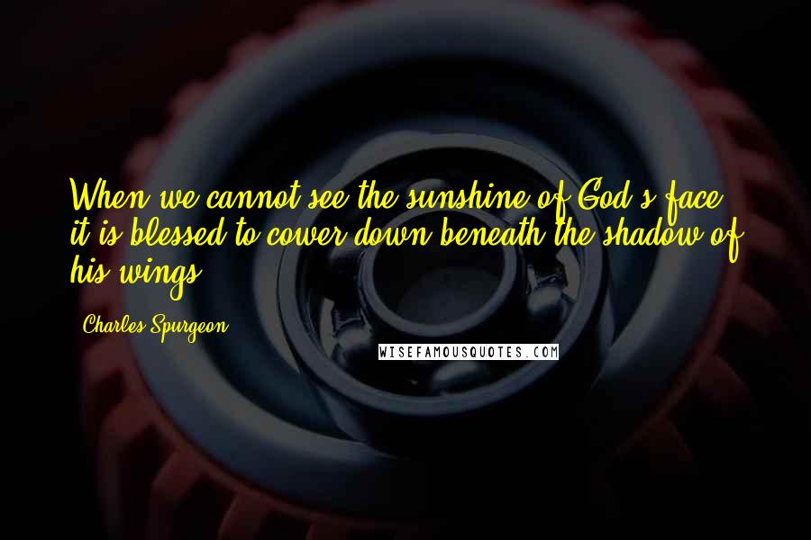 Charles Spurgeon Quotes: When we cannot see the sunshine of God's face, it is blessed to cower down beneath the shadow of his wings.