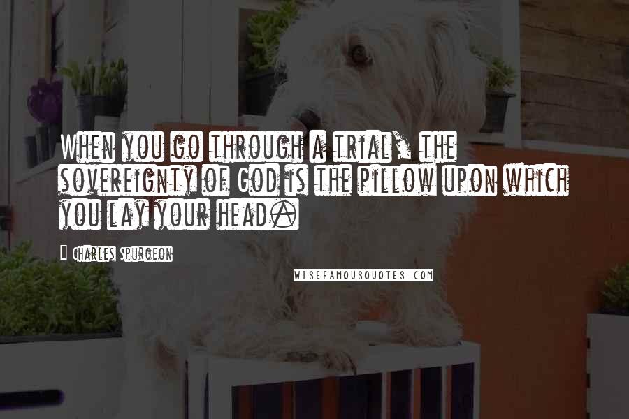 Charles Spurgeon Quotes: When you go through a trial, the sovereignty of God is the pillow upon which you lay your head.
