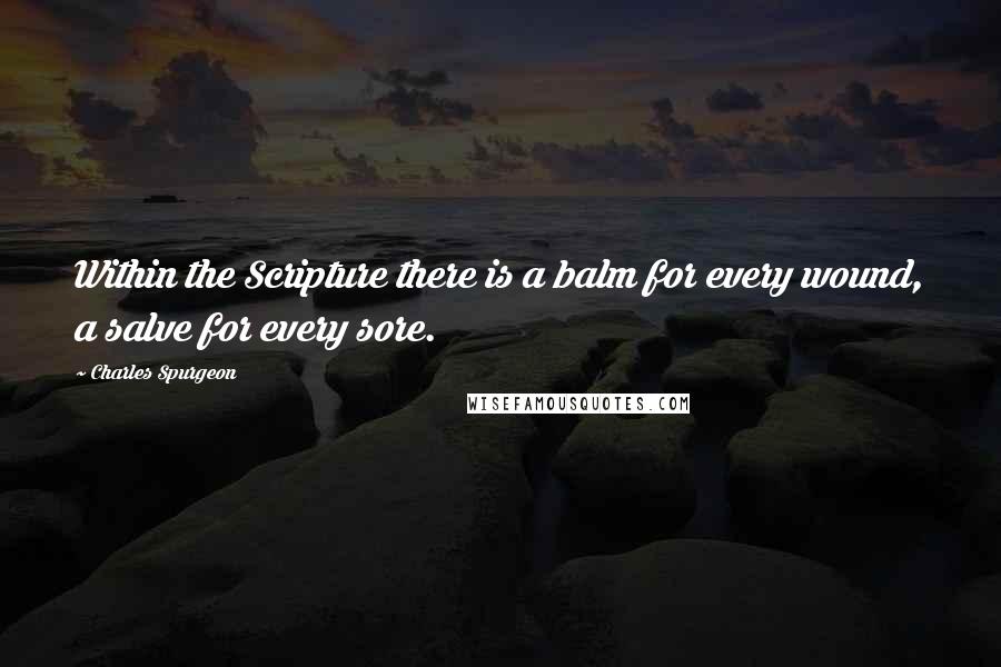 Charles Spurgeon Quotes: Within the Scripture there is a balm for every wound, a salve for every sore.