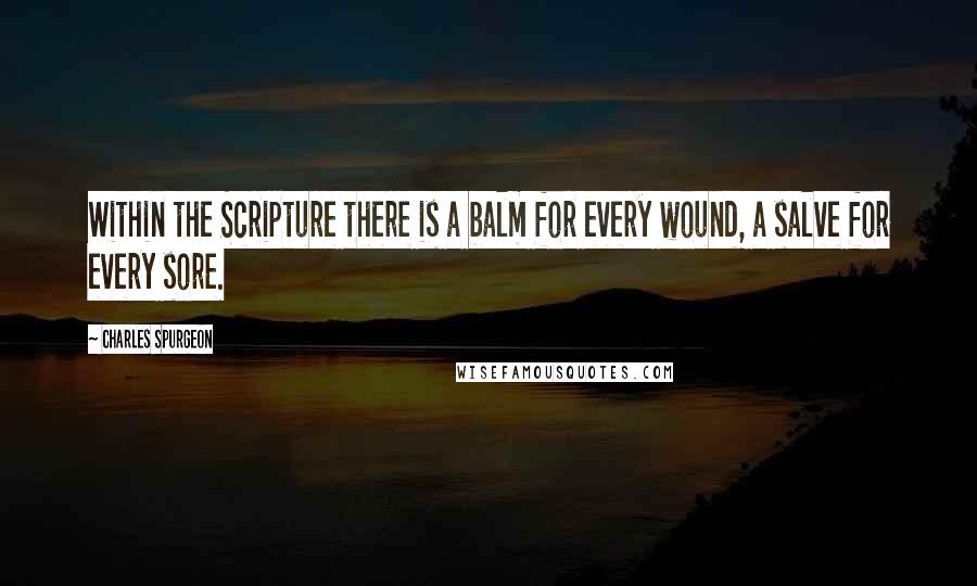 Charles Spurgeon Quotes: Within the Scripture there is a balm for every wound, a salve for every sore.
