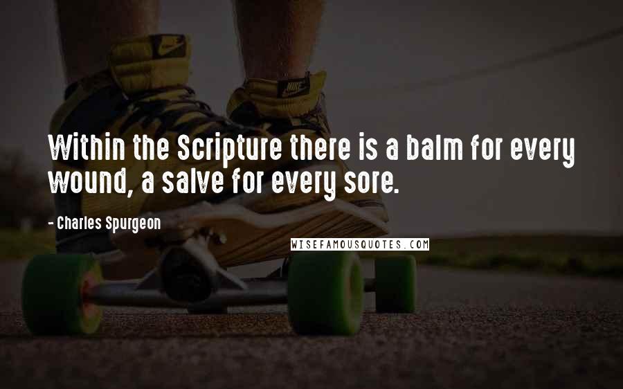 Charles Spurgeon Quotes: Within the Scripture there is a balm for every wound, a salve for every sore.
