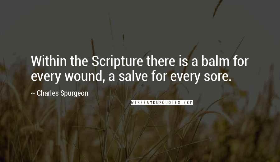 Charles Spurgeon Quotes: Within the Scripture there is a balm for every wound, a salve for every sore.