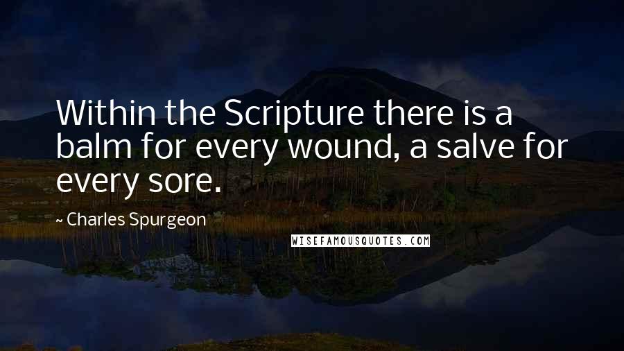 Charles Spurgeon Quotes: Within the Scripture there is a balm for every wound, a salve for every sore.