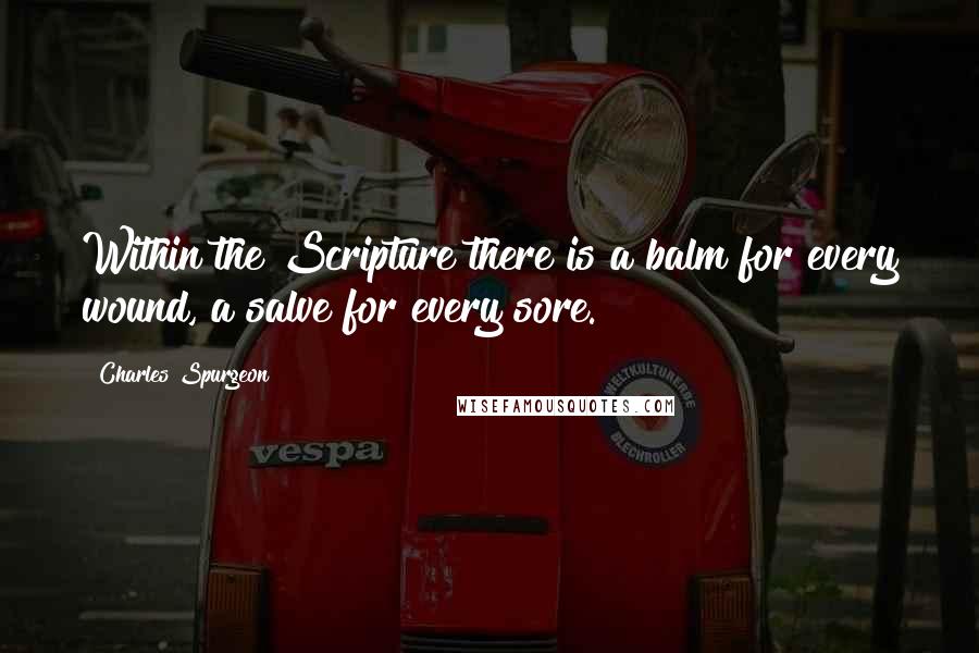 Charles Spurgeon Quotes: Within the Scripture there is a balm for every wound, a salve for every sore.
