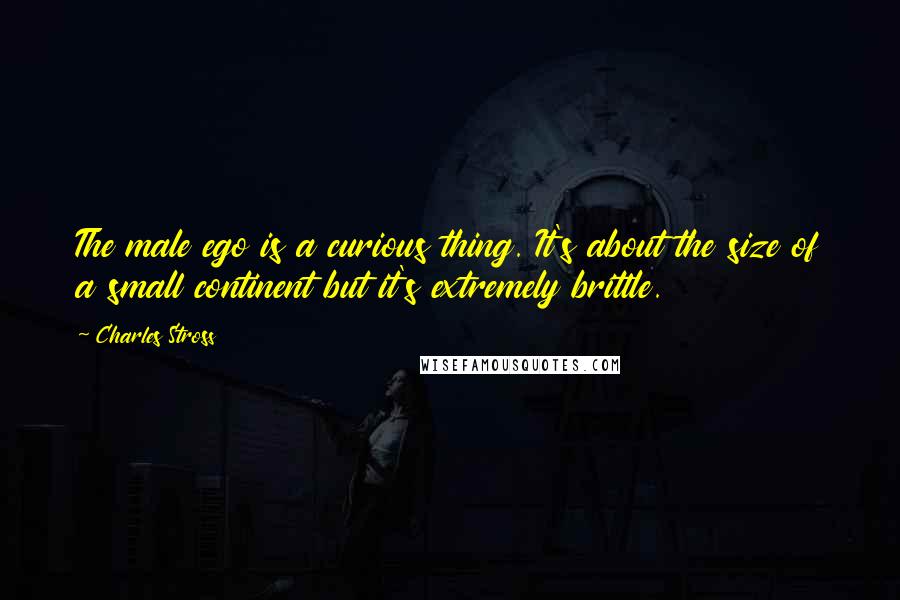 Charles Stross Quotes: The male ego is a curious thing. It's about the size of a small continent but it's extremely brittle.