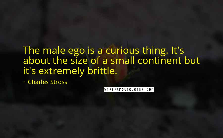 Charles Stross Quotes: The male ego is a curious thing. It's about the size of a small continent but it's extremely brittle.