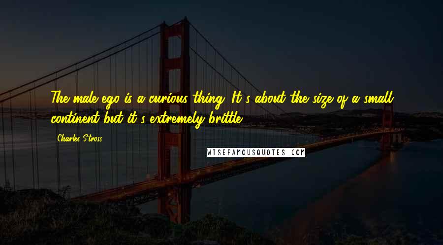 Charles Stross Quotes: The male ego is a curious thing. It's about the size of a small continent but it's extremely brittle.