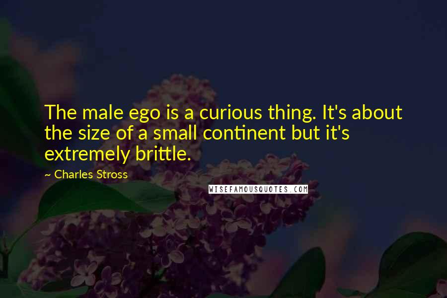 Charles Stross Quotes: The male ego is a curious thing. It's about the size of a small continent but it's extremely brittle.